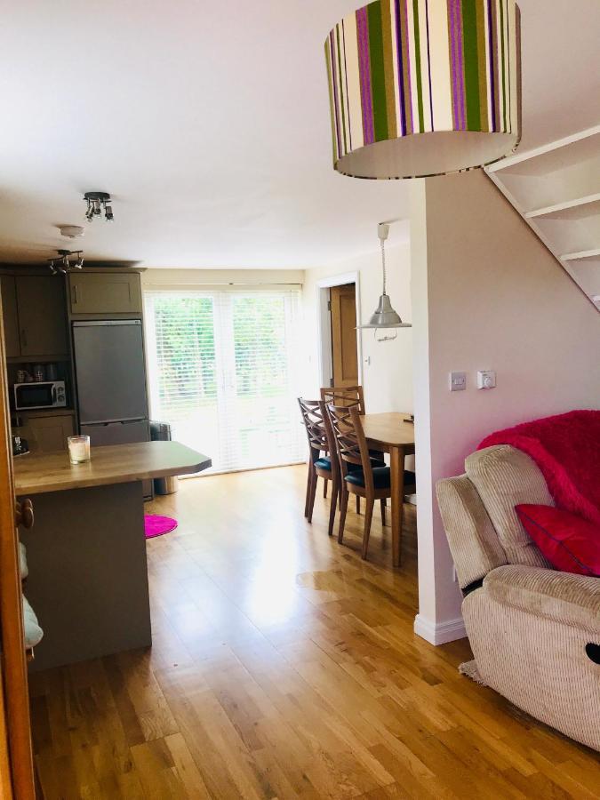 Red Deer Cosy Apartment In Letterfrack Connemara Dış mekan fotoğraf