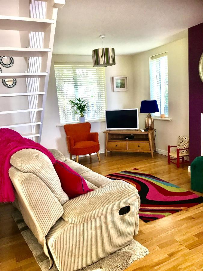 Red Deer Cosy Apartment In Letterfrack Connemara Dış mekan fotoğraf