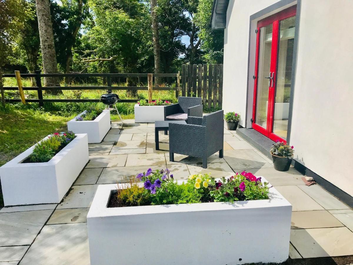 Red Deer Cosy Apartment In Letterfrack Connemara Dış mekan fotoğraf